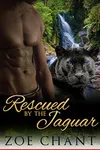 Rescued by the Jaguar