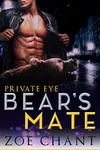 Private Eye Bear's Mate