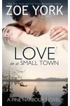 Love in a Small Town