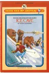 Ice Cave