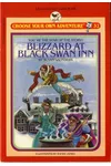 Blizzard at Black Swan Inn