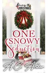 One Snowy Seduction