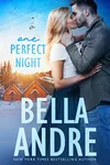 One Perfect Night
