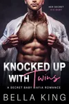 Knocked Up with Twins