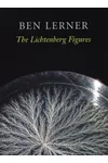 The Lichtenberg Figures