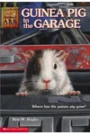 Guinea Pig in the Garage