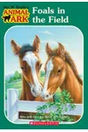 Foals in the Field