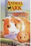 Guinea Pigs in the Greenhouse