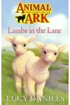 Lambs in the Lane