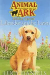 Labrador on the Lawn
