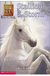 Stallion in the Storm