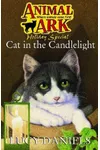 Cat in the Candlelight