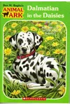 Dalmatian in the Daisies
