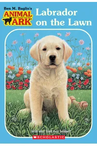 Labrador on the Lawn
