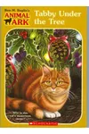 Tabby Under the Tree