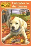 Labrador in the Leaves
