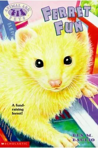 Ferret Fun