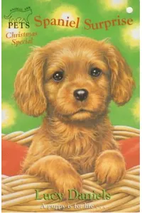 Spaniel Surprise