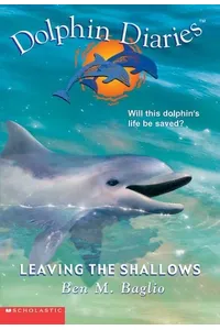Leaving The Shallows