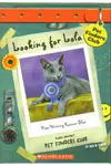 Looking For Lola