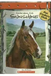 Searching for Sunshine