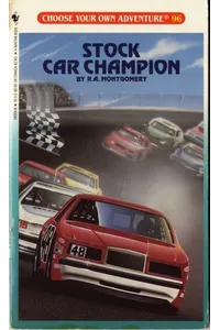 Stock Car Champion