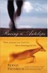 Racing the Antelope