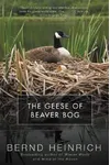 The Geese of Beaver Bog