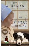 An Amish Healing