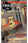 Death by Chocolate Lab