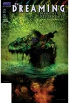The Dreaming#45
