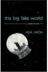 This Big Fake World