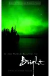 If the World Becomes So Bright
