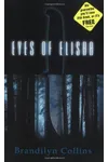 Eyes of Elisha