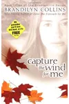 Capture the Wind for Me