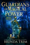 Guardians of Magical Power