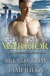 Shattered Warrior