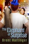 The Elephant of Surprise