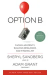 Option B