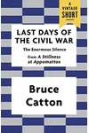 Last Days of the Civil War: The Enormous Silence