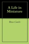 A Life in Miniature