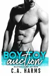 Boy Toy Auction
