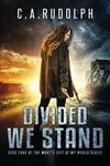 Divided We Stand