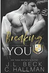 Breaking You