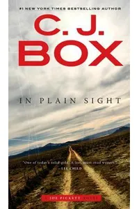 In Plain Sight