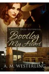 Bootleg My Heart