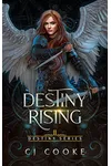Destiny Rising