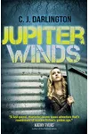 Jupiter Winds