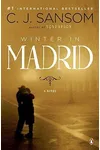 Winter in Madrid