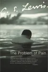 The Problem of Pain